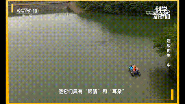 进一步推进800公斤级样机的研制工作.gif