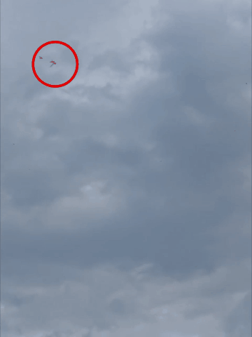 过山车型飞行.gif
